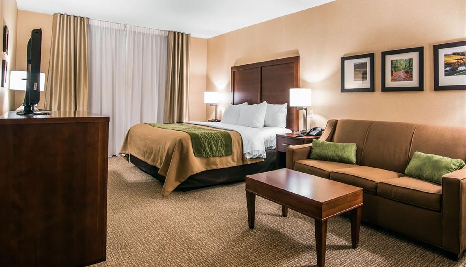 Room - Quality Inn & Suites Towanda