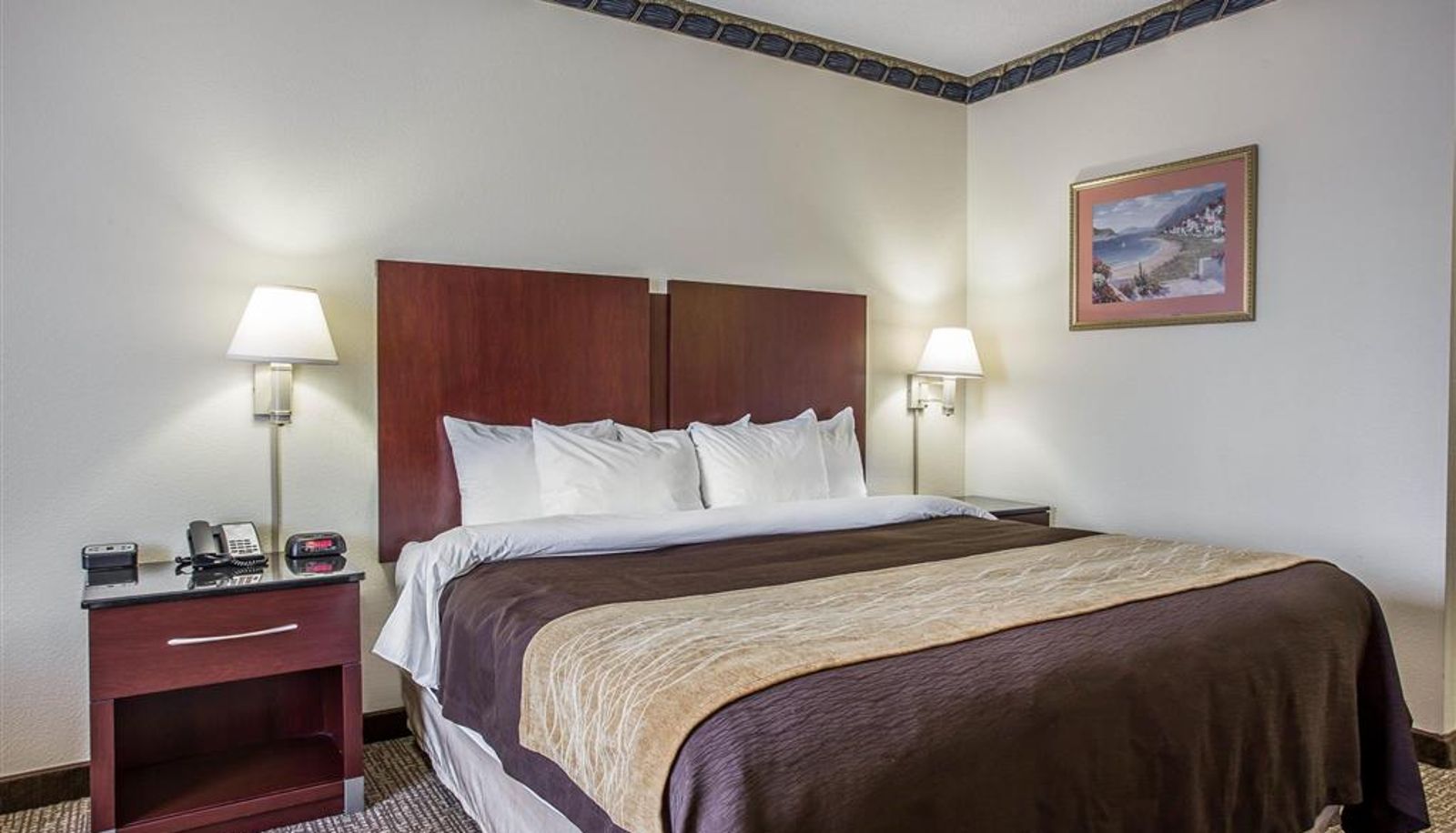 Zimmer - Comfort Inn & Suites Ft.Jackson Maingate