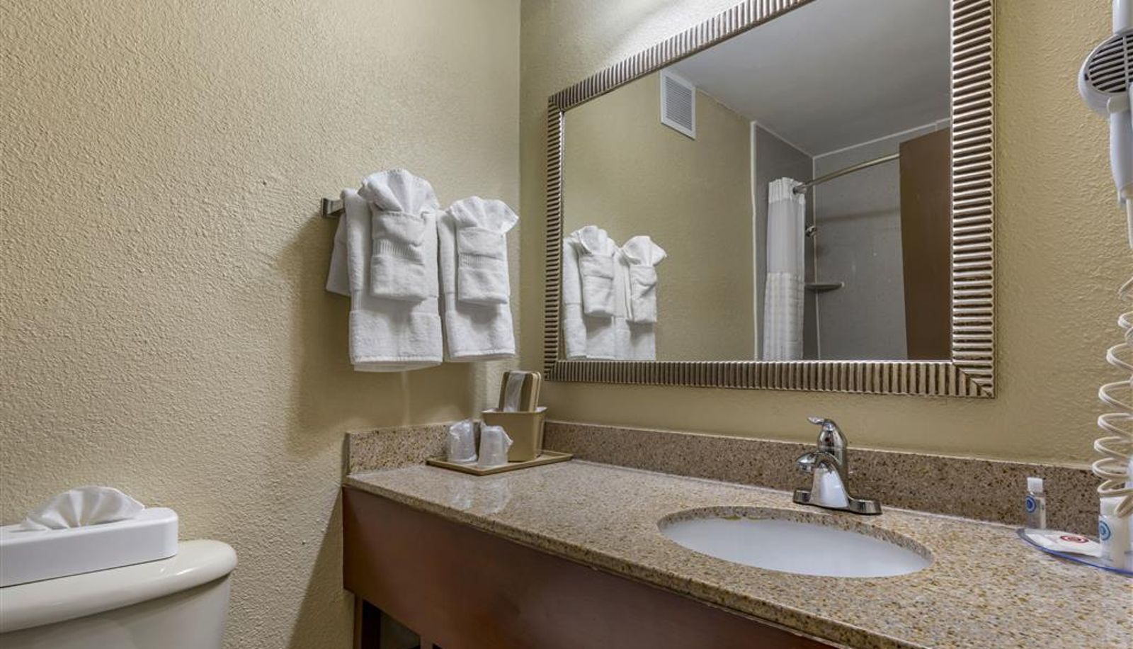 Zimmer - Comfort Inn Fort Mill Amusement Park at Carowinds Blvd