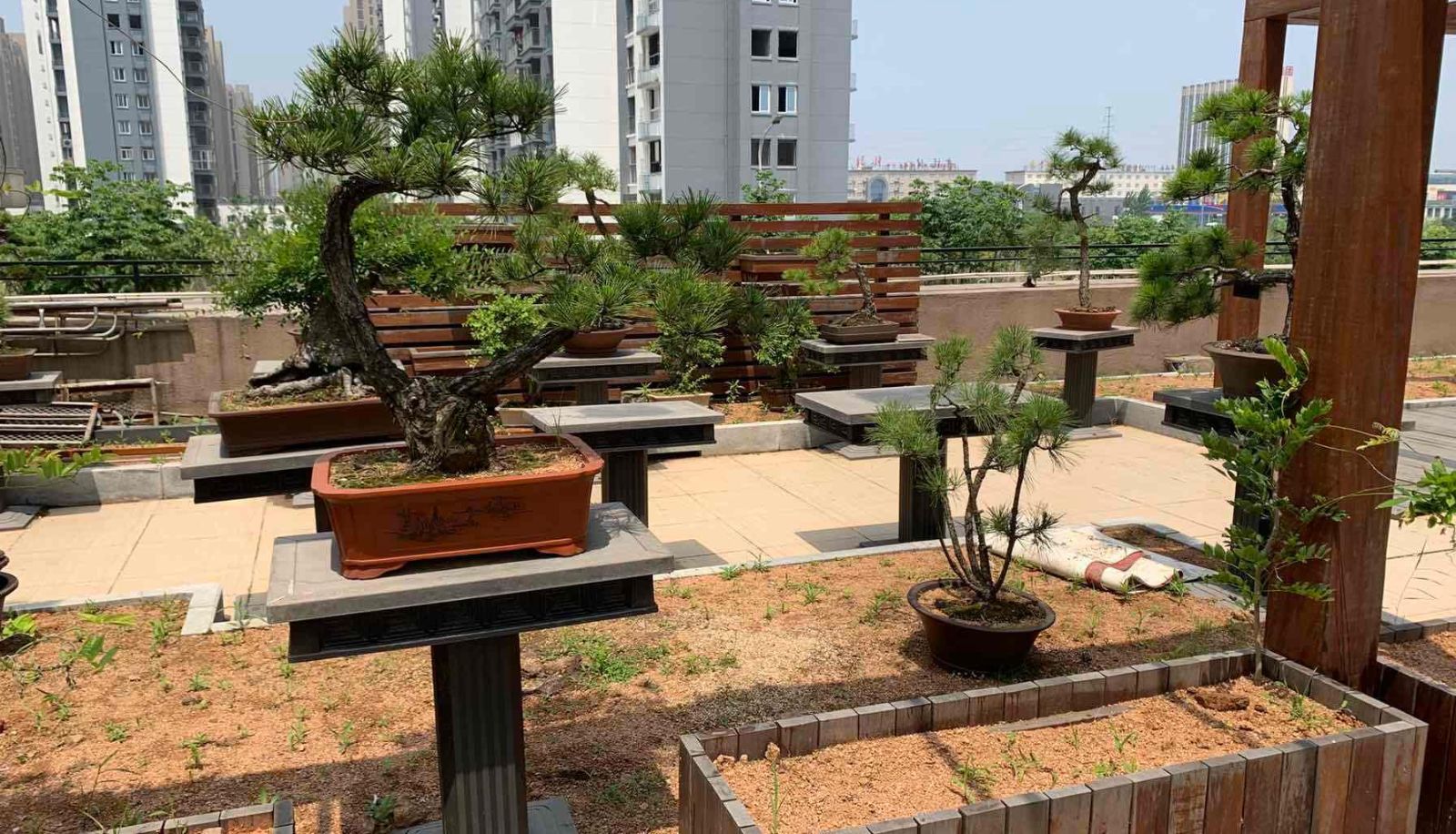 Extérieur de l'hôtel - Xixi Garden Restaurant