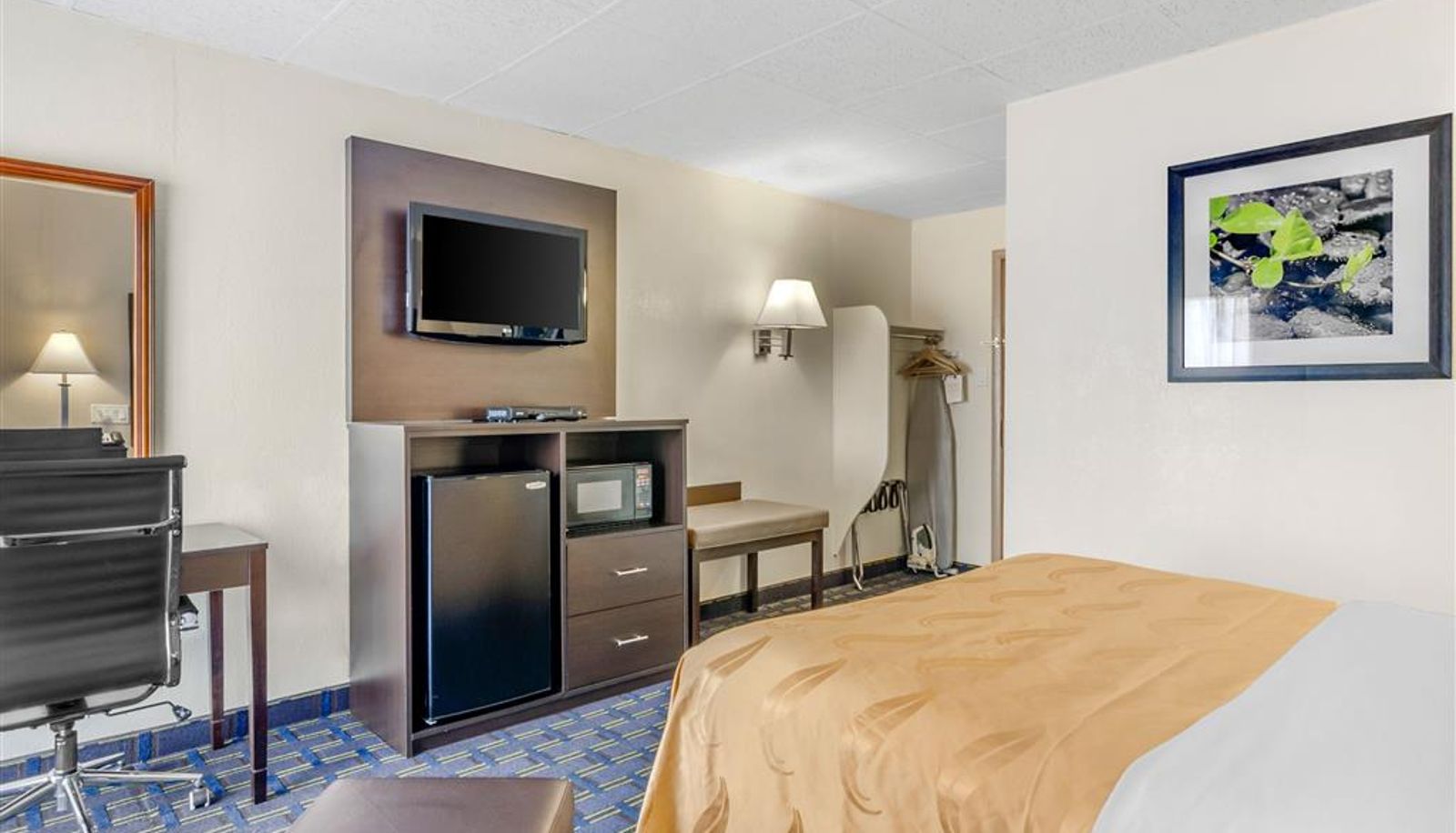 Zimmer - Quality Inn Waynesboro - Skyline Drive