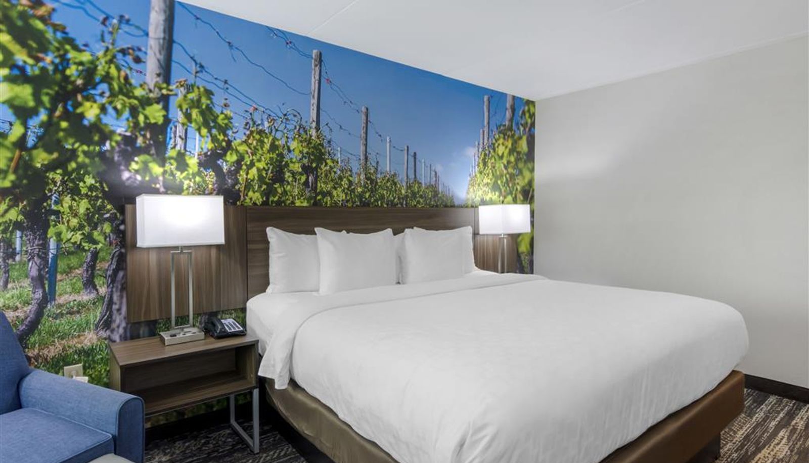 Zimmer - Clarion Pointe Charlottesville