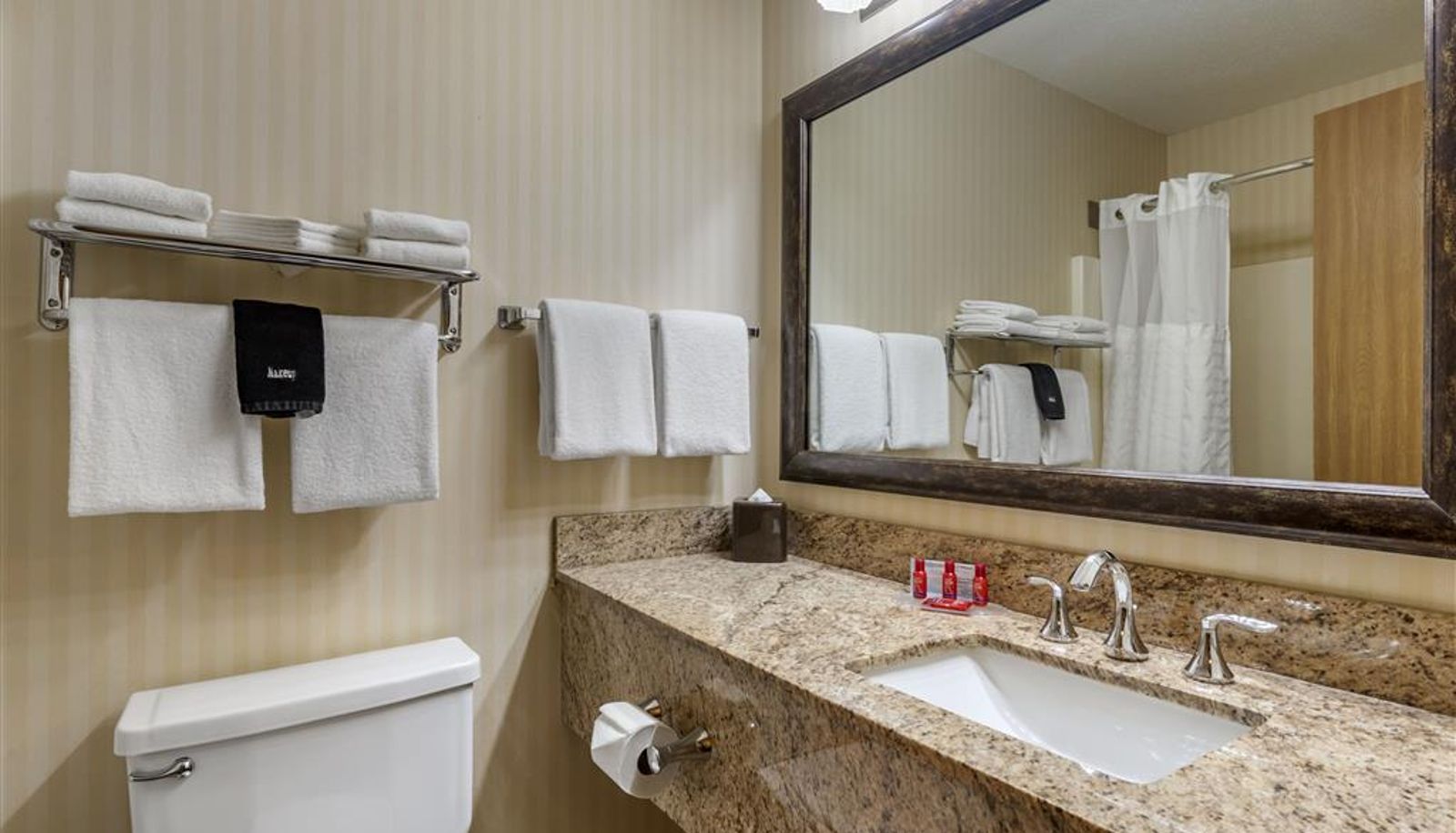Room - SureStay Plus by Best Western Buffalo