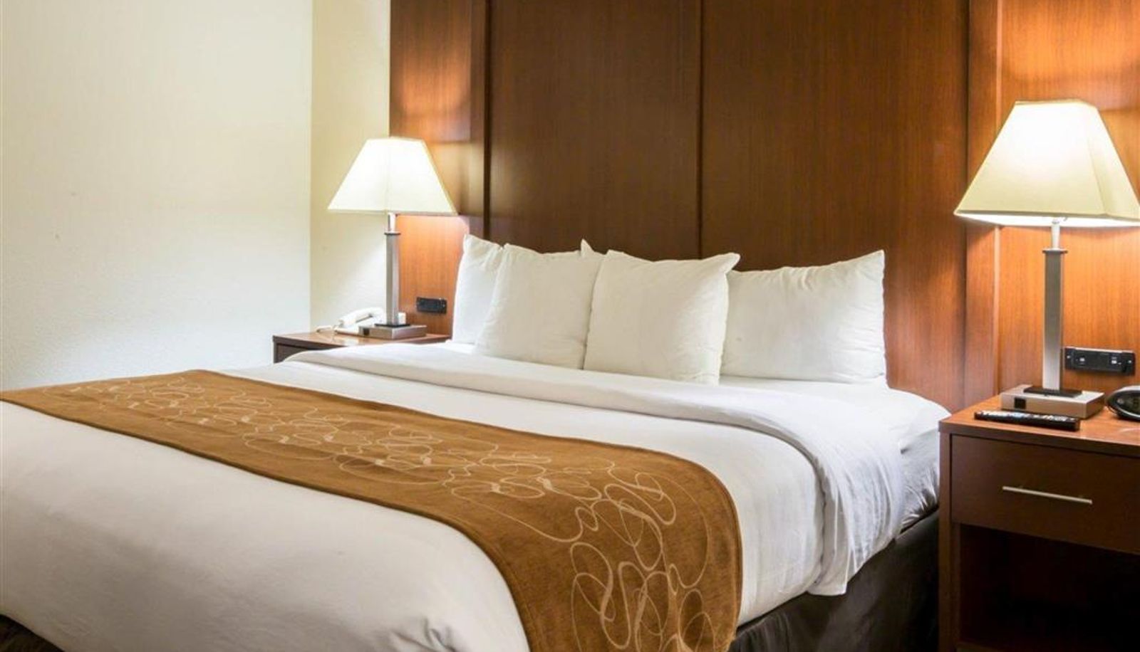 Chambre - Comfort Suites Cumming-Atlanta near Northside Hospital Forsyth