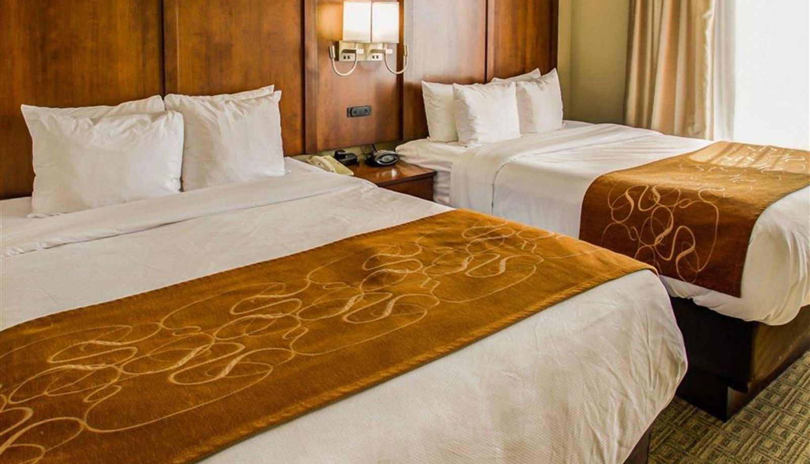 Room - Comfort Suites Georgetown
