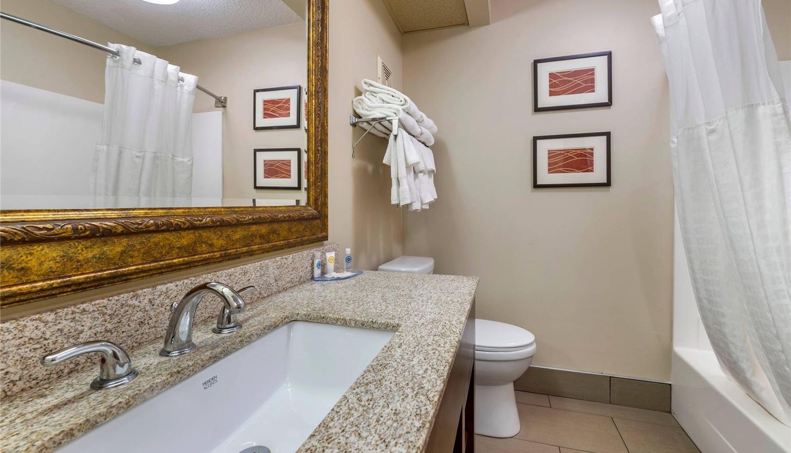 Zimmer - Comfort Inn Lexington I-75