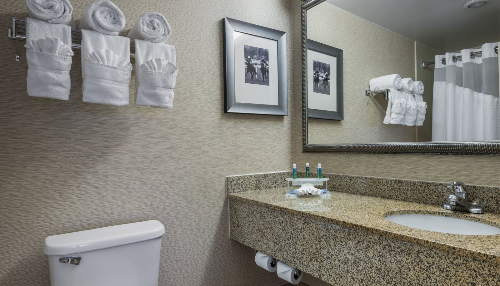 Room - Holiday Inn Express & Suites LAUREL by IHG