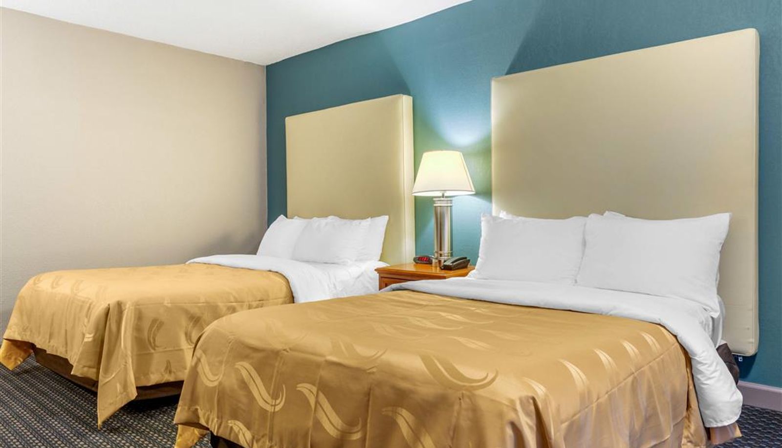 Room - Quality Inn & Suites Apex-Holly Springs