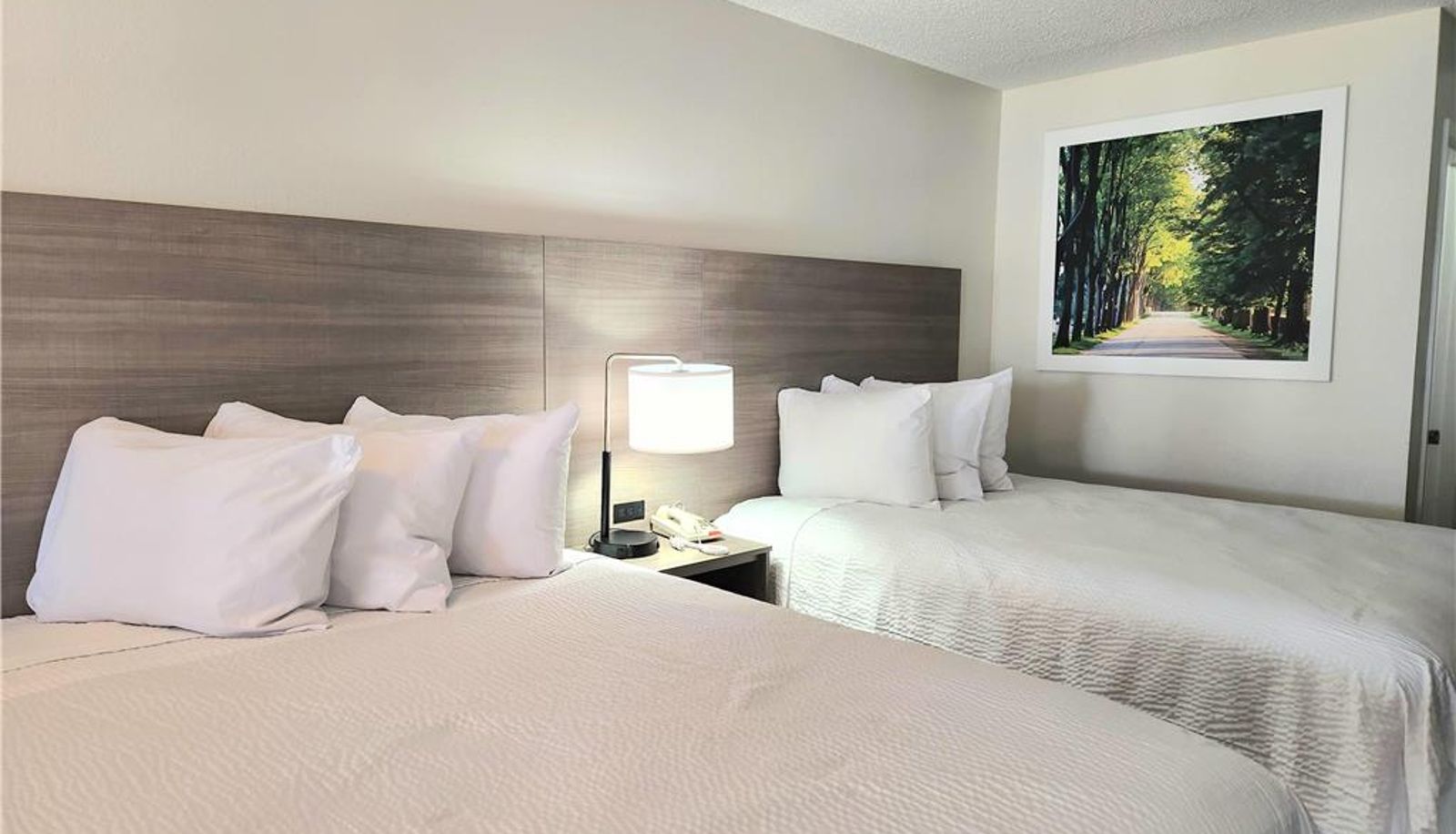 Kamer - Days Inn by Wyndham San Marcos