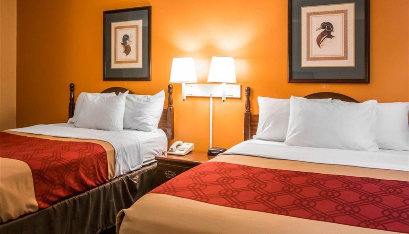 Kamer - Econo Lodge Eufaula South