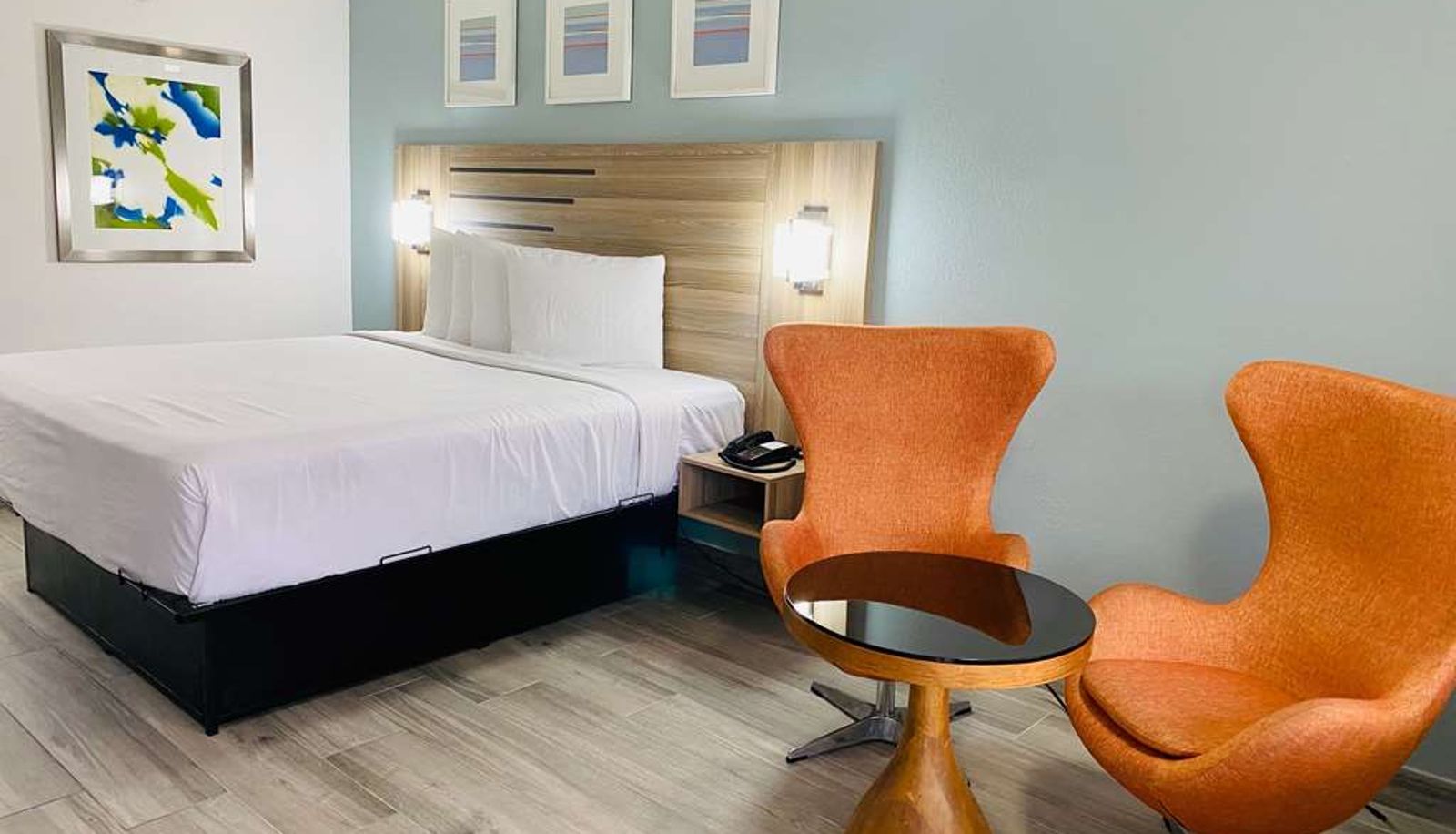 Chambre - Rodeway Inn Clearwater - Central