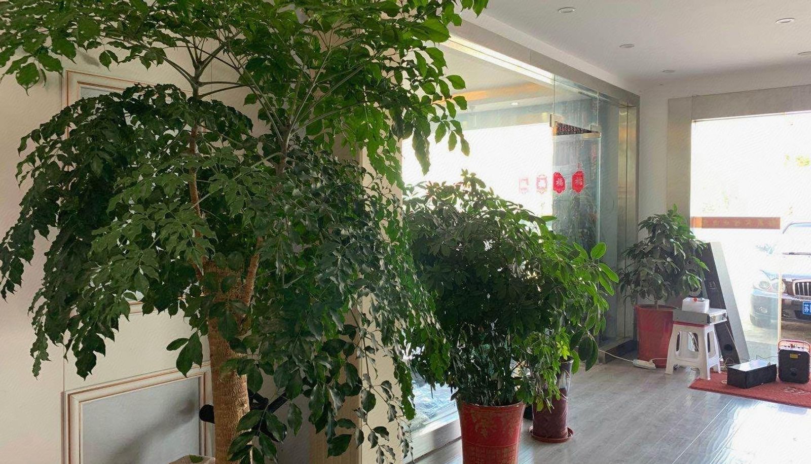 Buitenruimte van het hotel - Yusheng Hotel