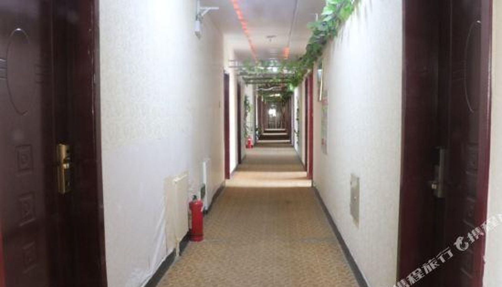 Reception - Zhangbei Grassland Style Business Hotel