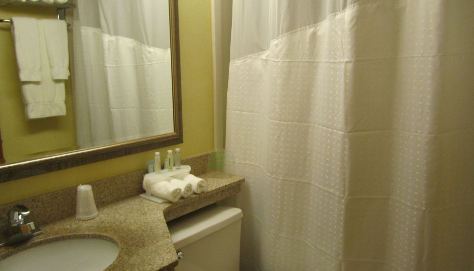 Zimmer - Holiday Inn Express BOSTON by IHG