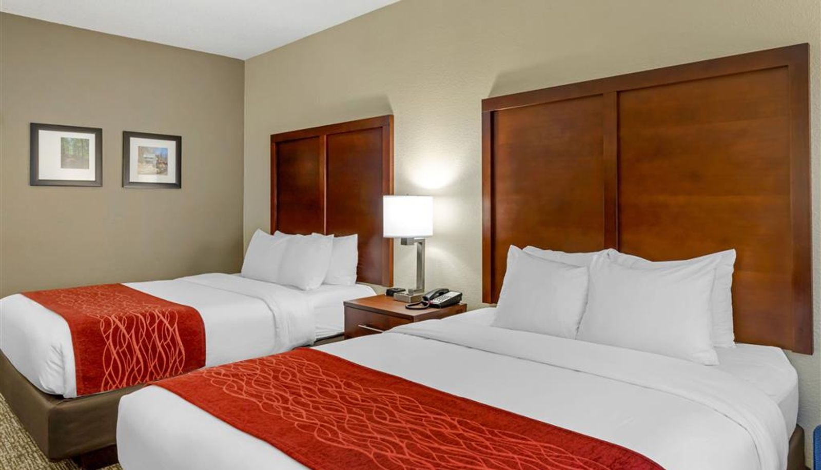 Kamer - Comfort Inn & Suites Canton Riverstone Area