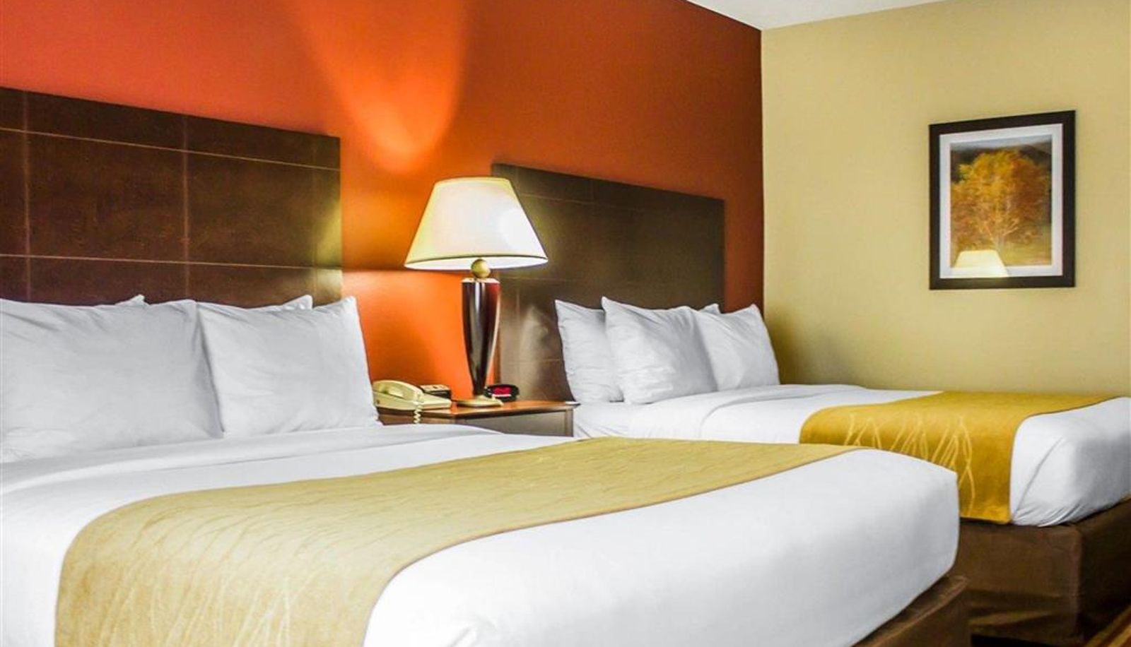 Room - Comfort Inn & Suites Dayville - Killingly Industrial Park