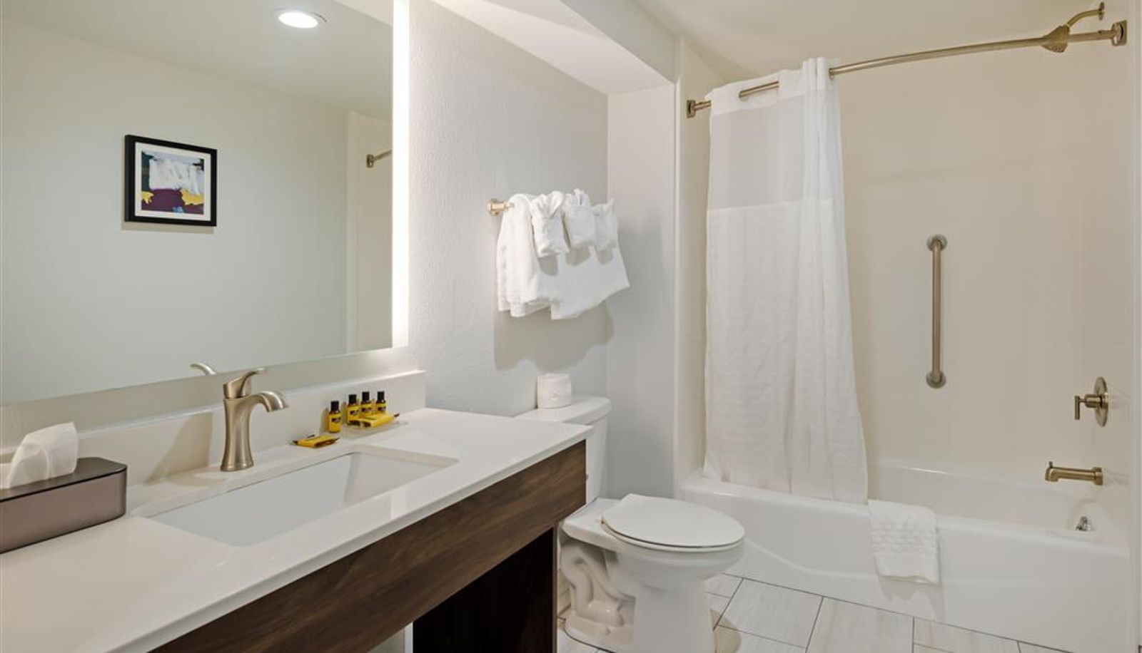 Zimmer - Best Western Plus Harrisonburg