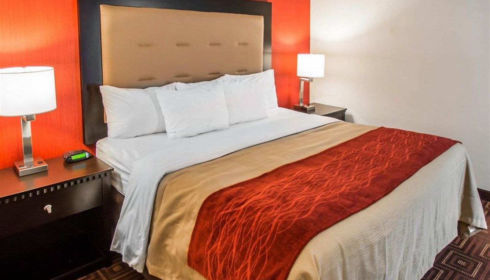 Zimmer - Quality Inn & Suites NJ State Capital Area