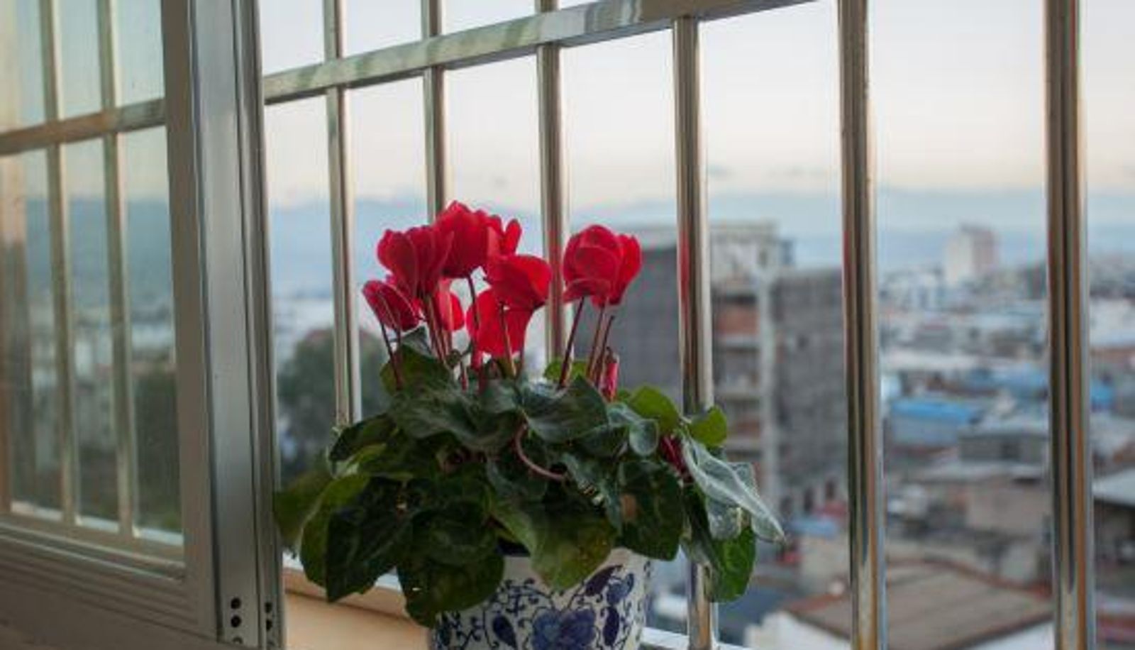 Innenbreich - Jianshui Jinshang Holiday Hotel