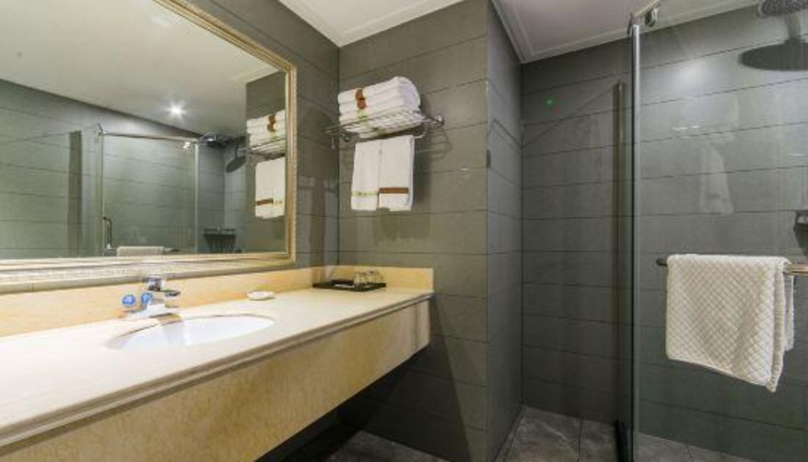 Business room - Zhaotian Holiday Hotel