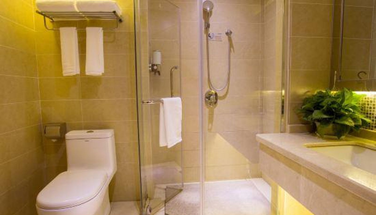 Camera business - Cailun International Hotel