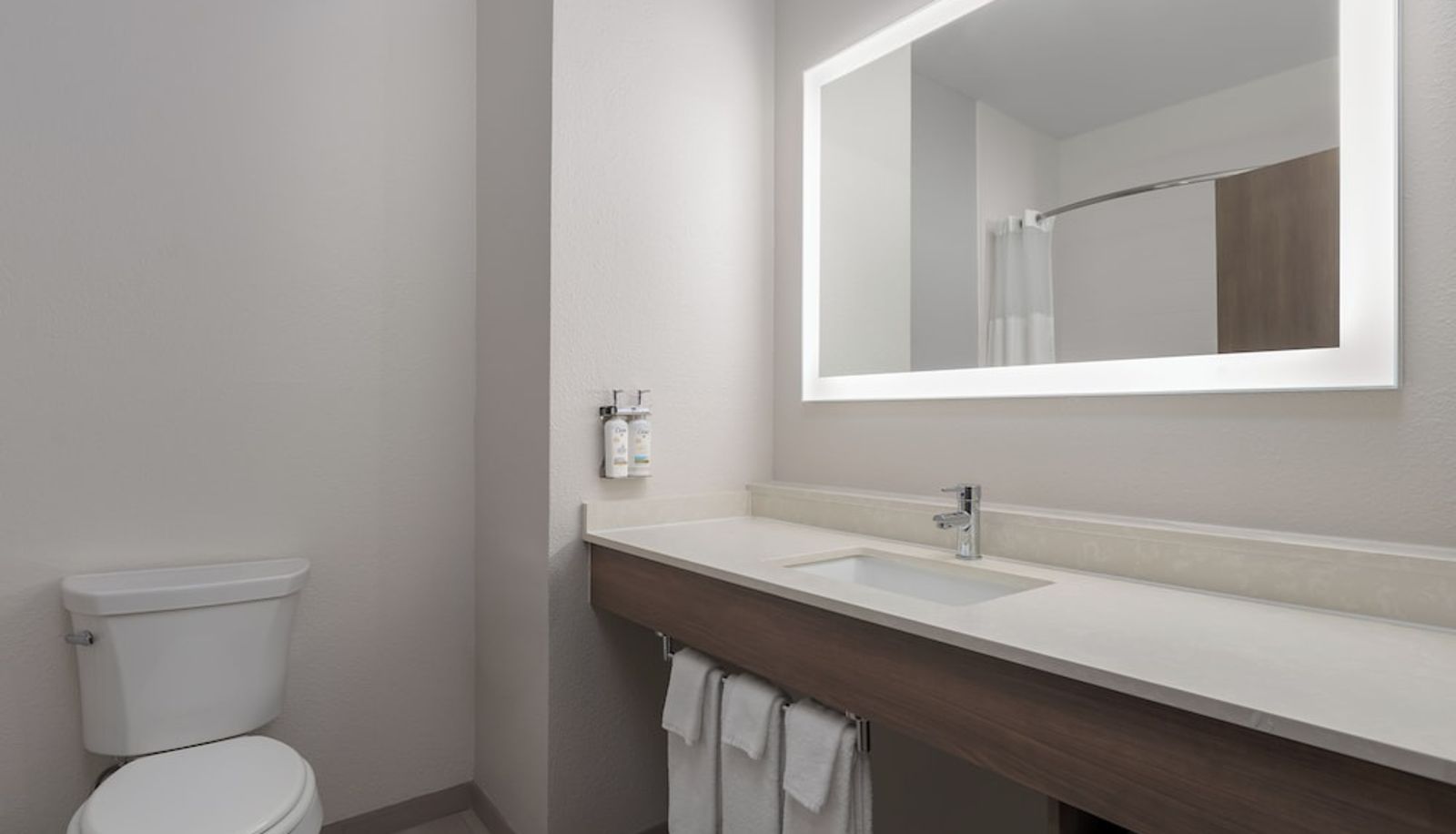 Apartment - Holiday Inn Express & Suites ALEXANDRIA by IHG