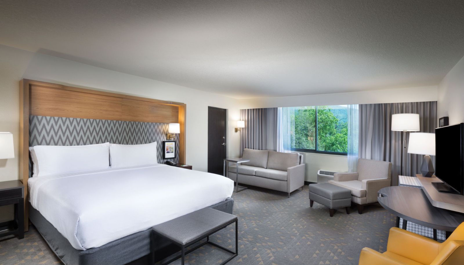 Zimmer - Holiday Inn ASHEVILLE EAST-BLUE RIDGE PKWY by IHG