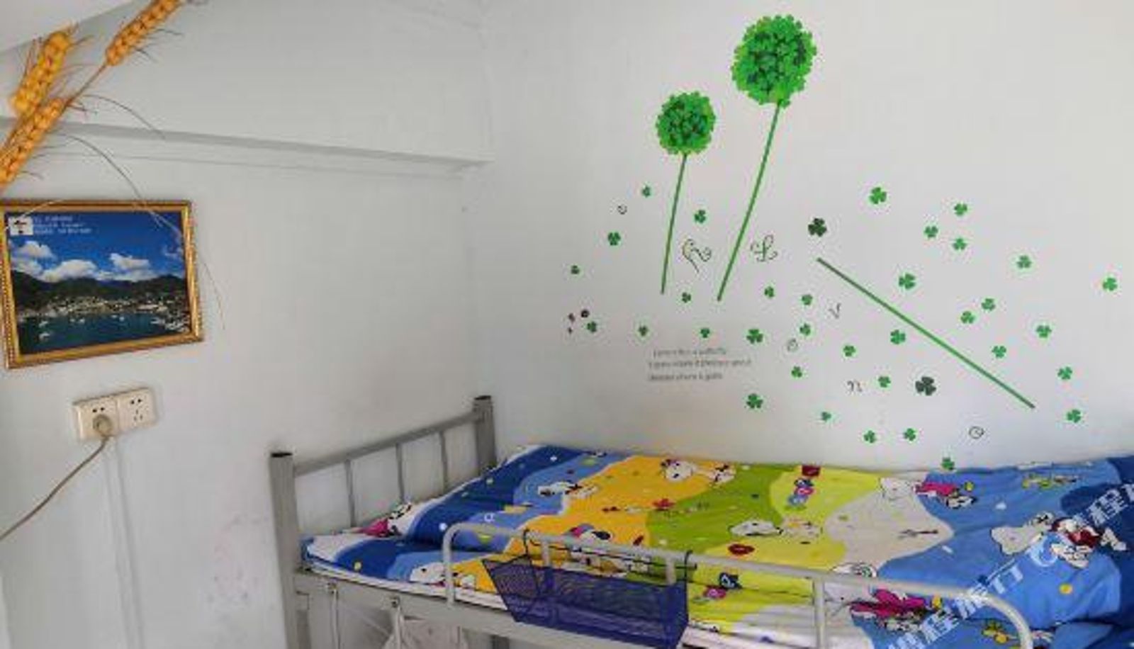 Camera - Youlexing Youth Hostel