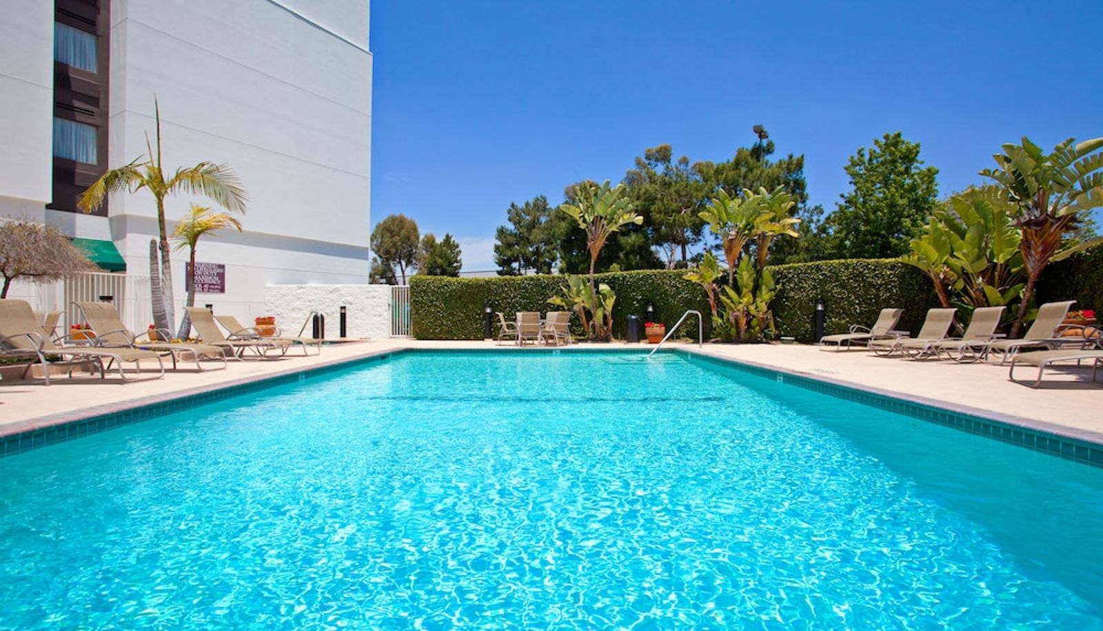 Piscina - Holiday Inn LA MIRADA – BUENA PARK by IHG