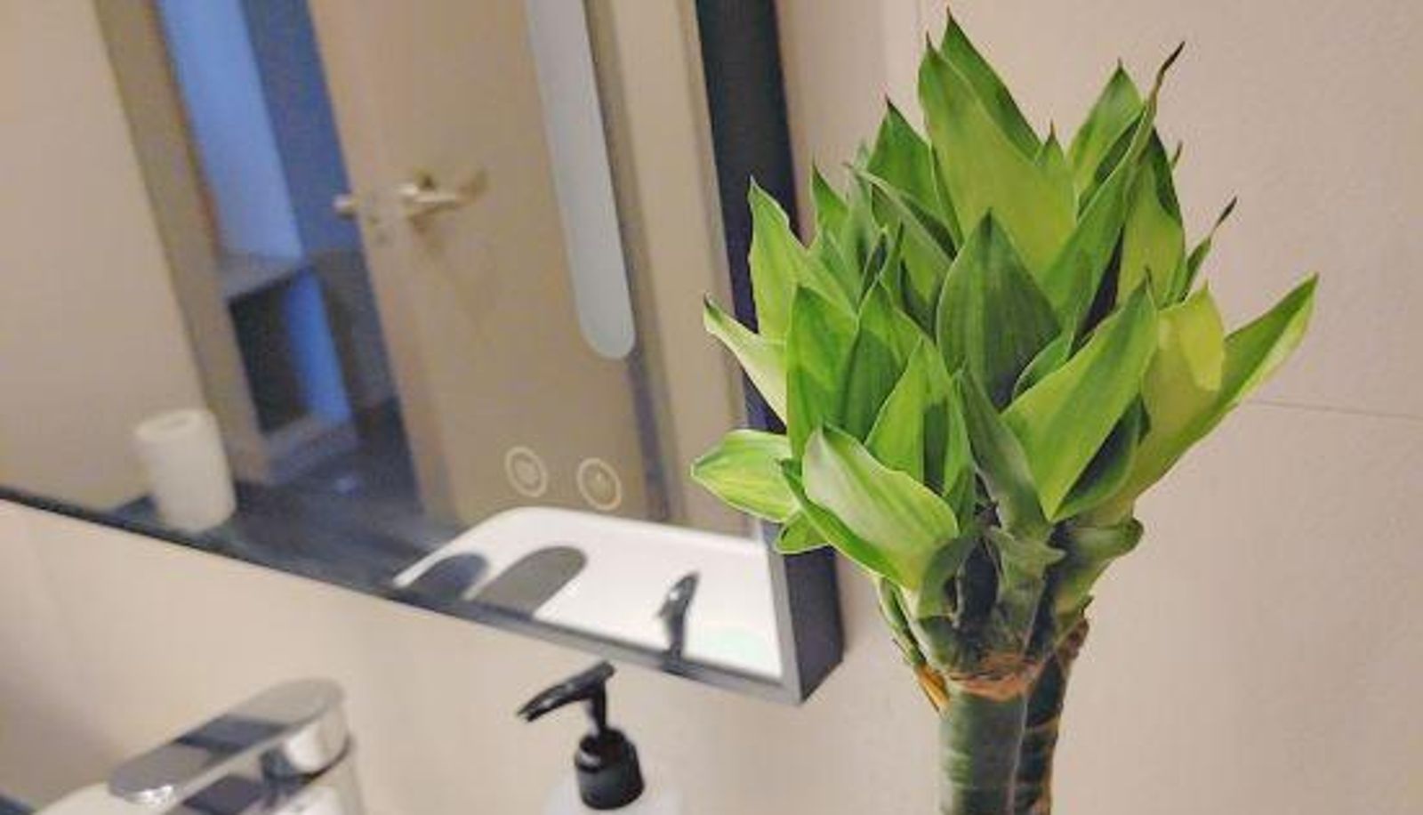 Business-Zimmer - Huaying Select Hotel (Shijiazhuang Yiying South Street Branch)
