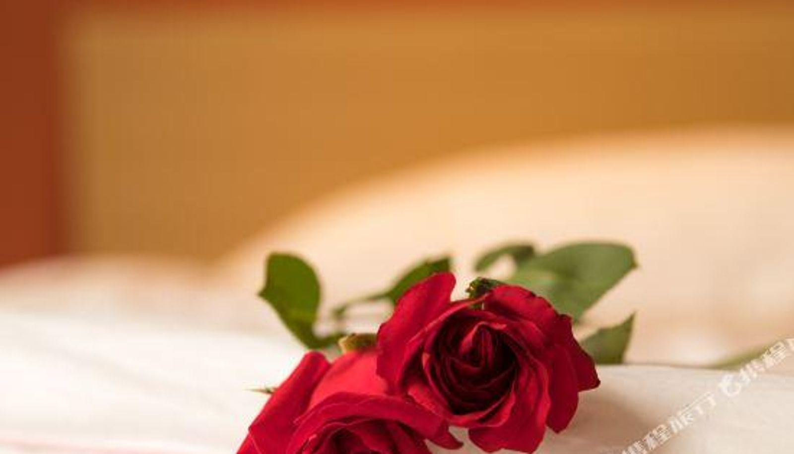 Chambre - Sushe Boutique Hotel