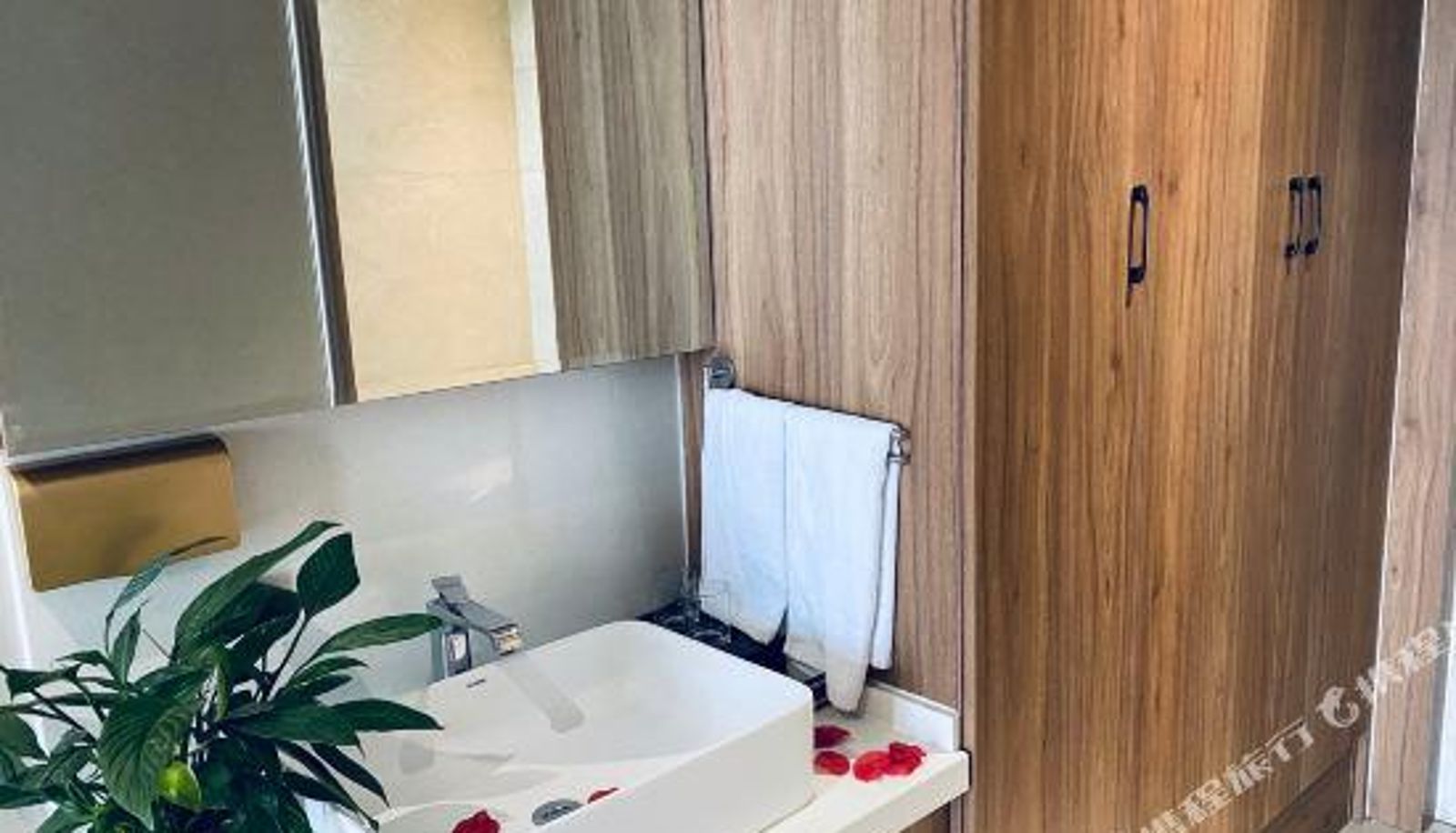 Chambre Business - Jining Paschiton Hotel (China-Germany Plaza)
