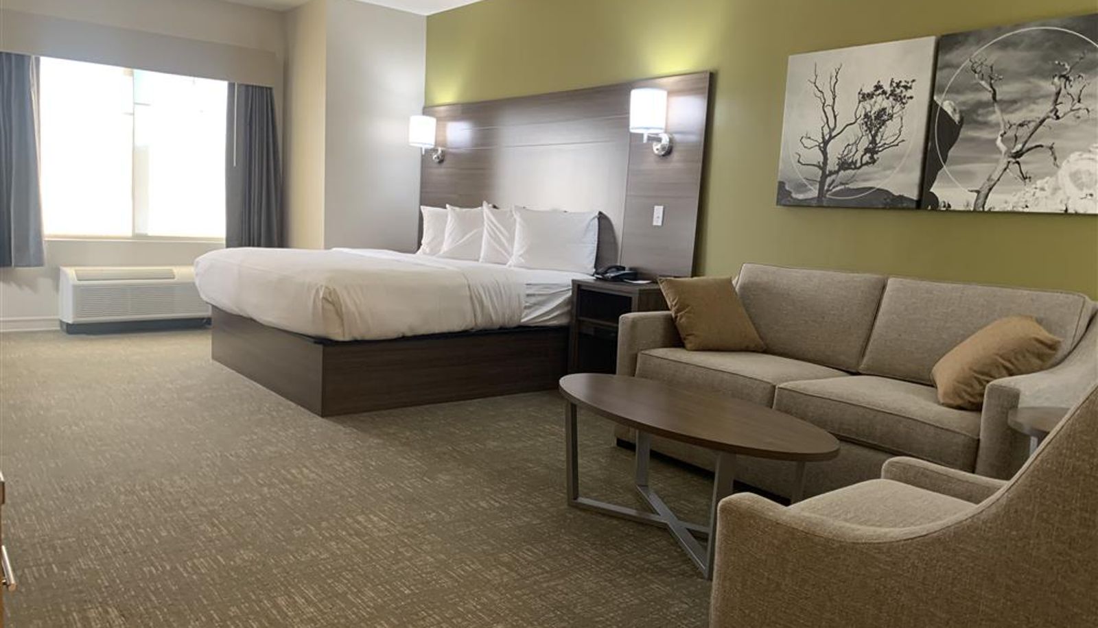 Room - Best Western Plus Horseheads - Elmira