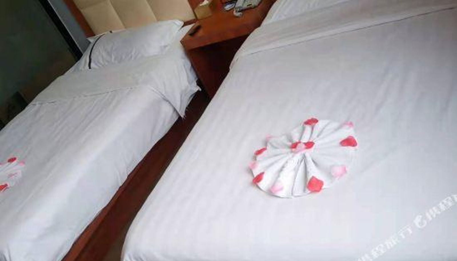 Kamer - Bee of the Little Bee Theme Hotel