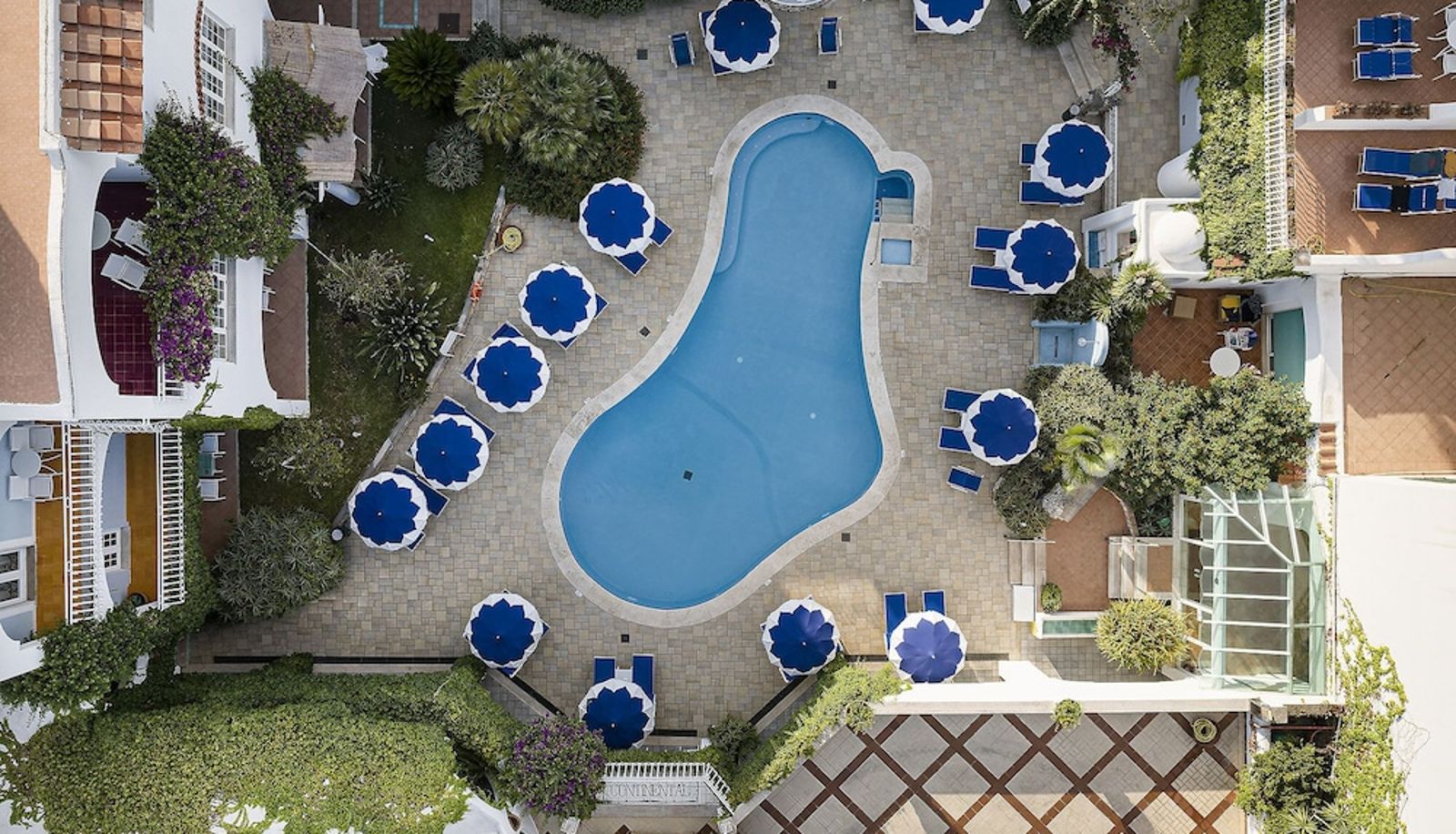 Pool - Hotel Continental Ischia