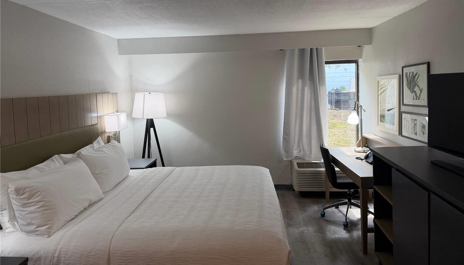 Room - Wingate by Wyndham Jacksonville FL
