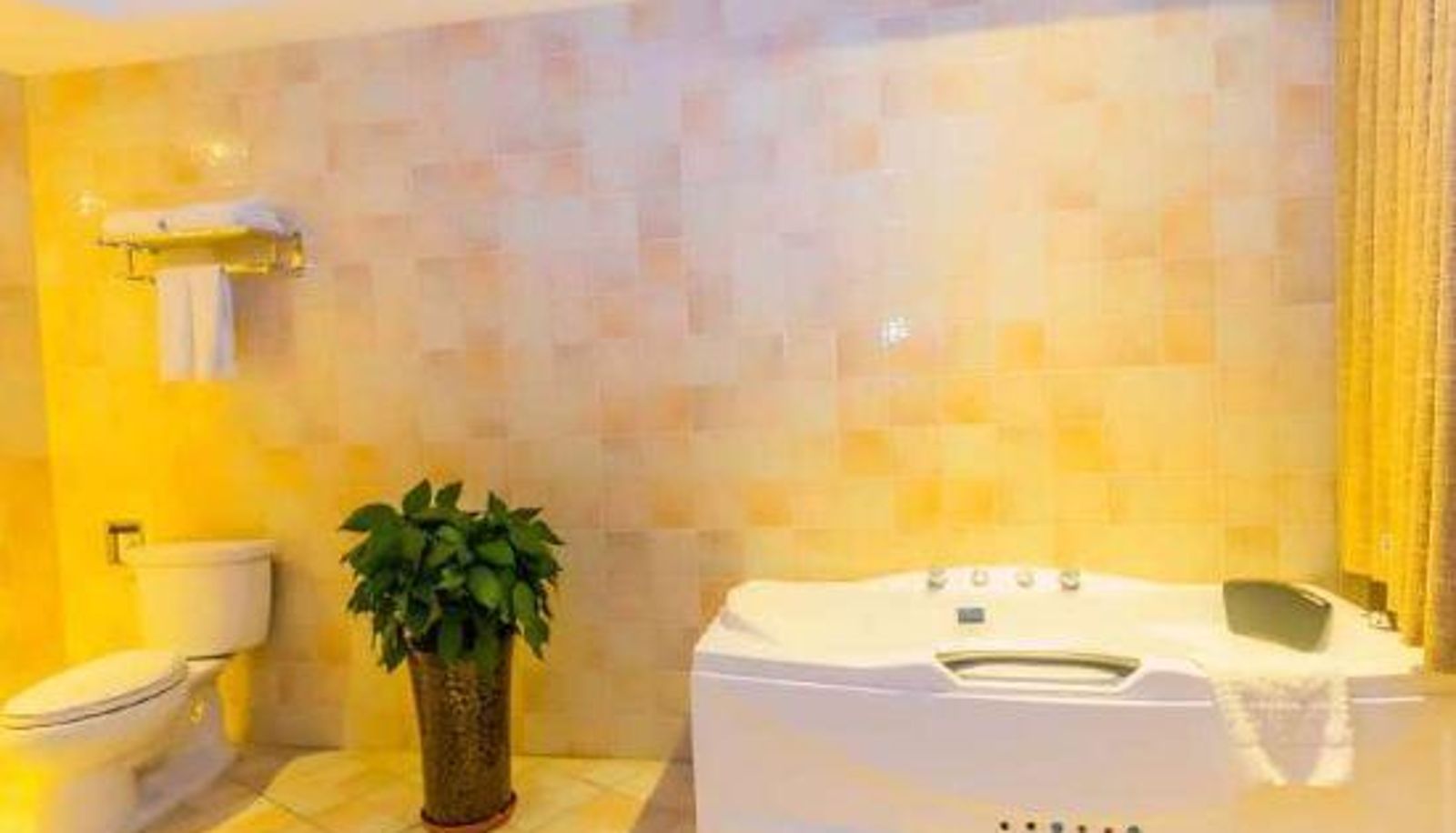 Camera - Wanfulou Theme Hotel Urumqi