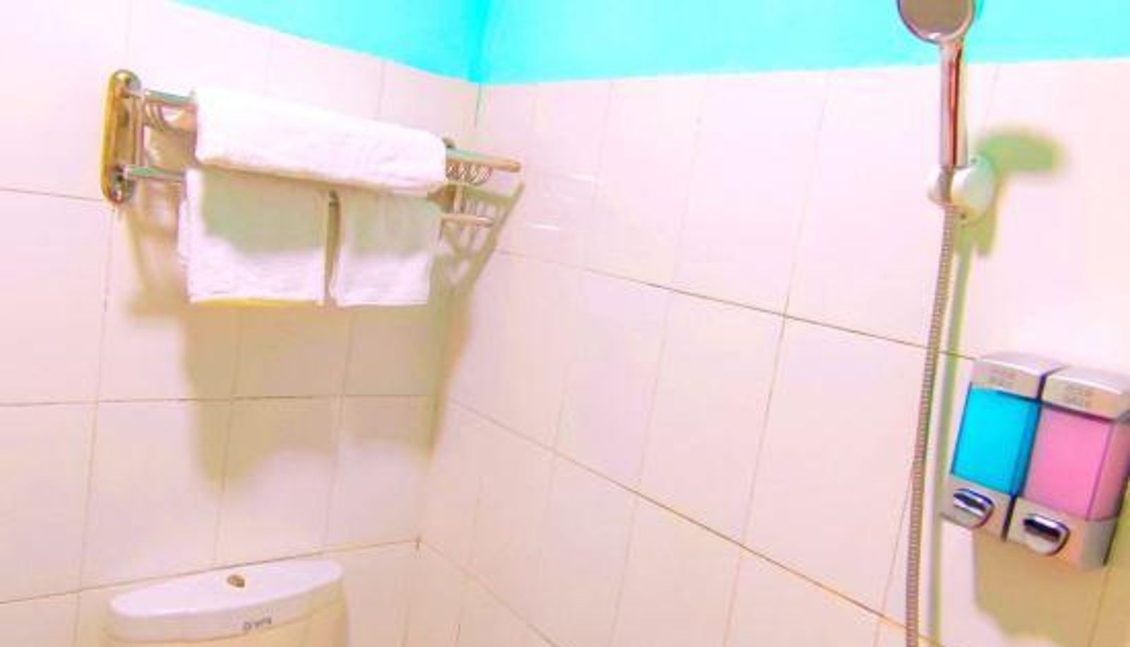 Room - Guangzhou Tianhe Yuangang New Hotel