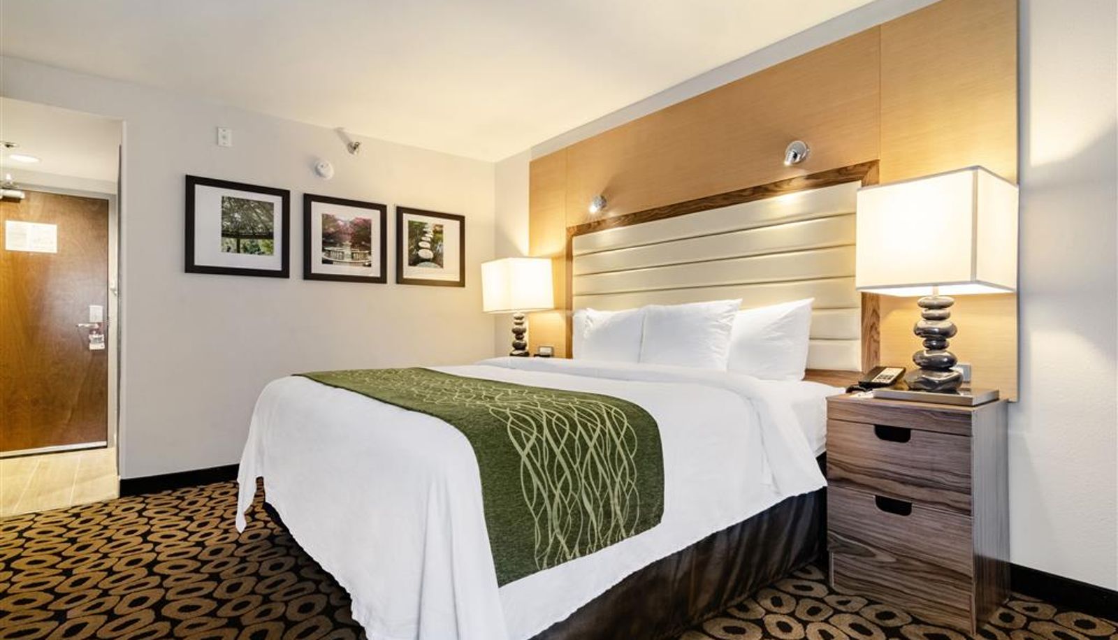 Zimmer - Comfort Inn Raleigh Midtown