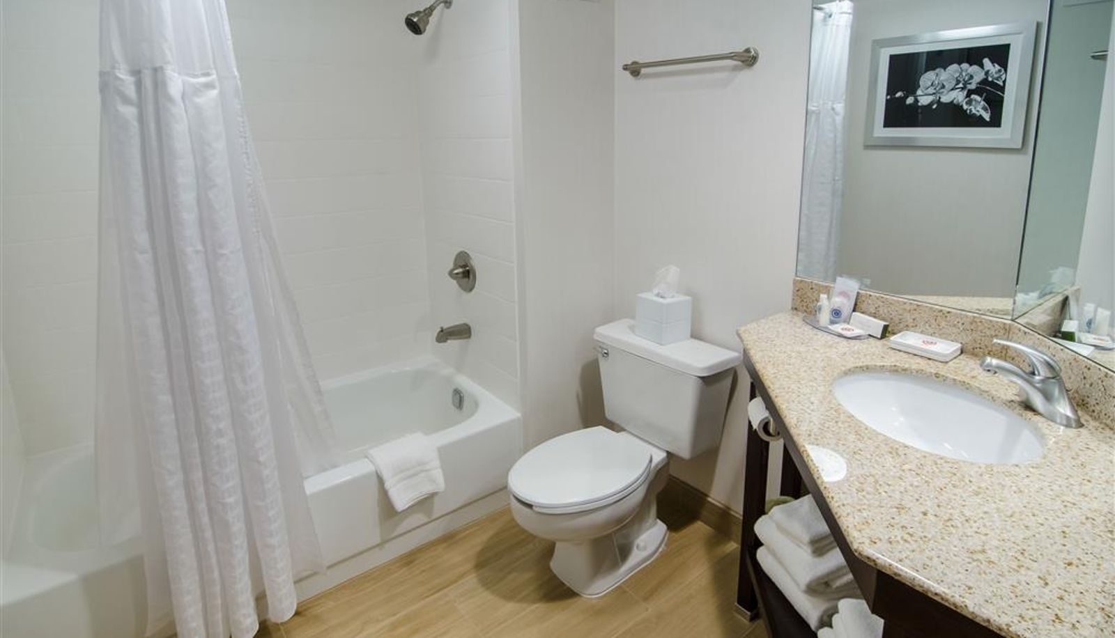 Zimmer - Comfort Inn Raleigh Midtown