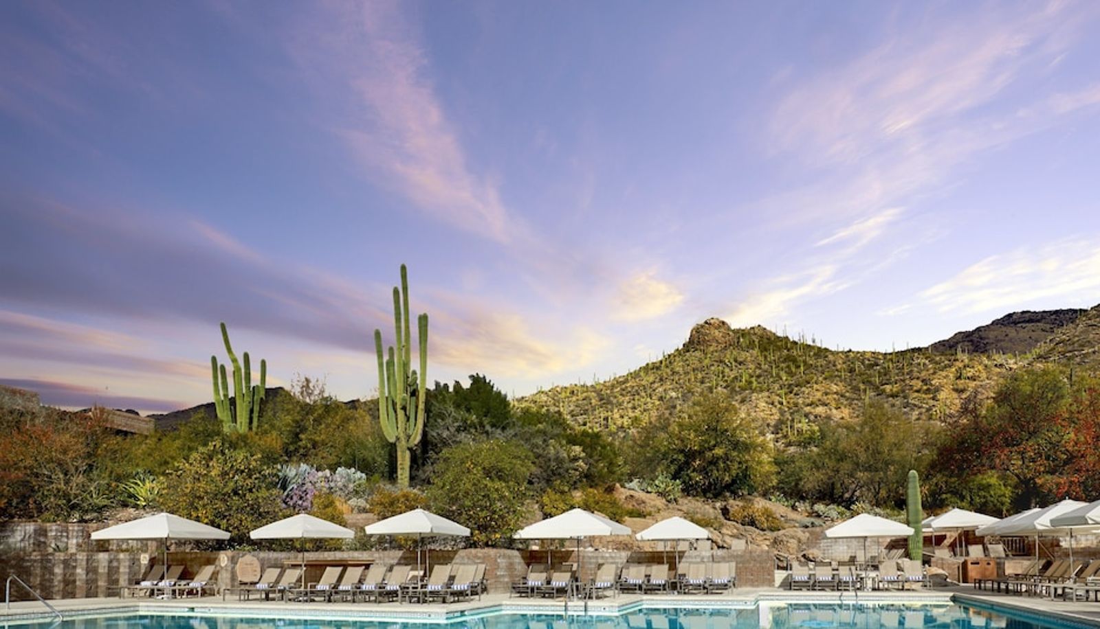 Pool - Loews Ventana Canyon Resort