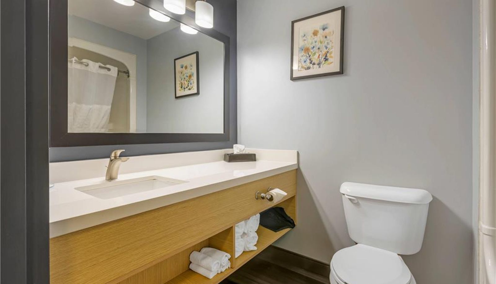 Room - Quality Inn & Suites