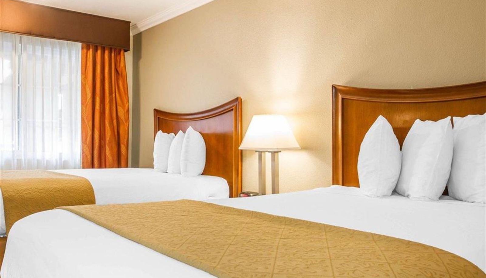 Room - Quality Inn Sacramento Convention Center