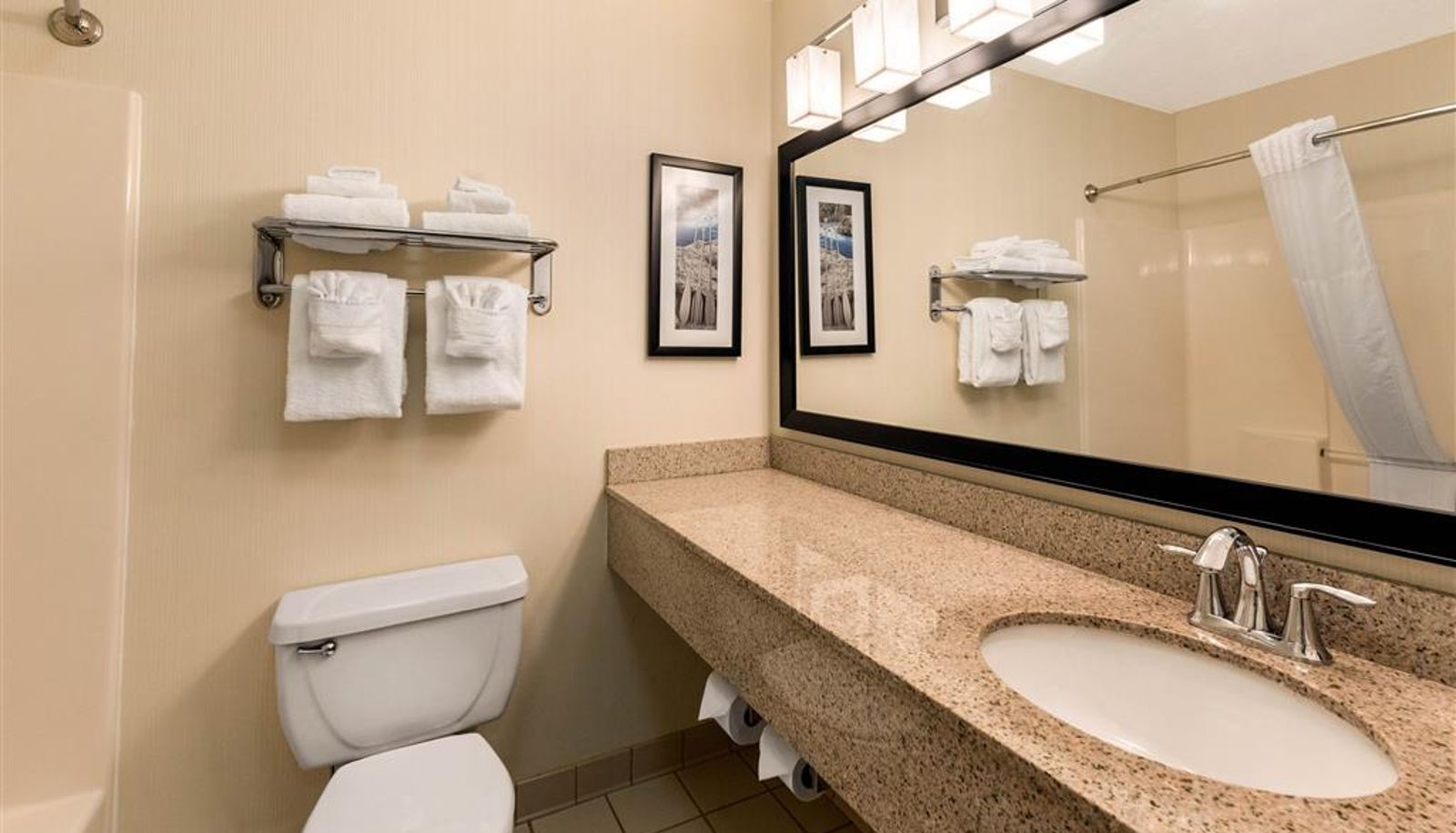 Room - Quality Inn and Suites University Fort Collins