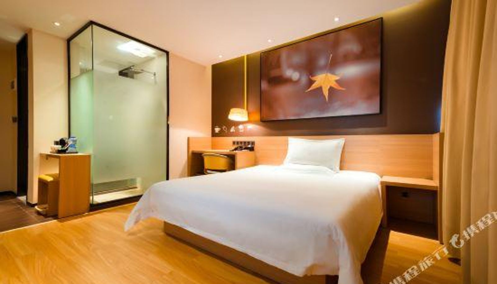 Zimmer - IU hotels