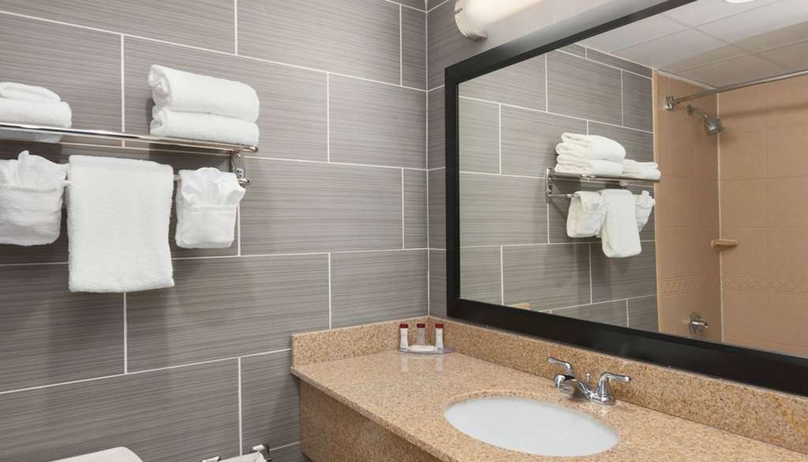 Kamer - Ramada by Wyndham Rochelle Park Near Paramus