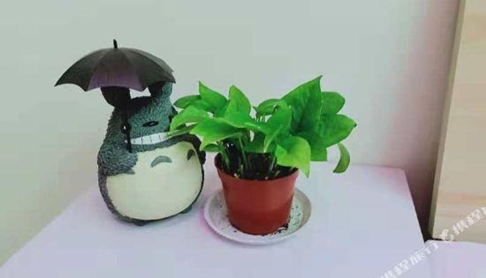 Habitación - Ziwei Xieshou Shiguang Apartment