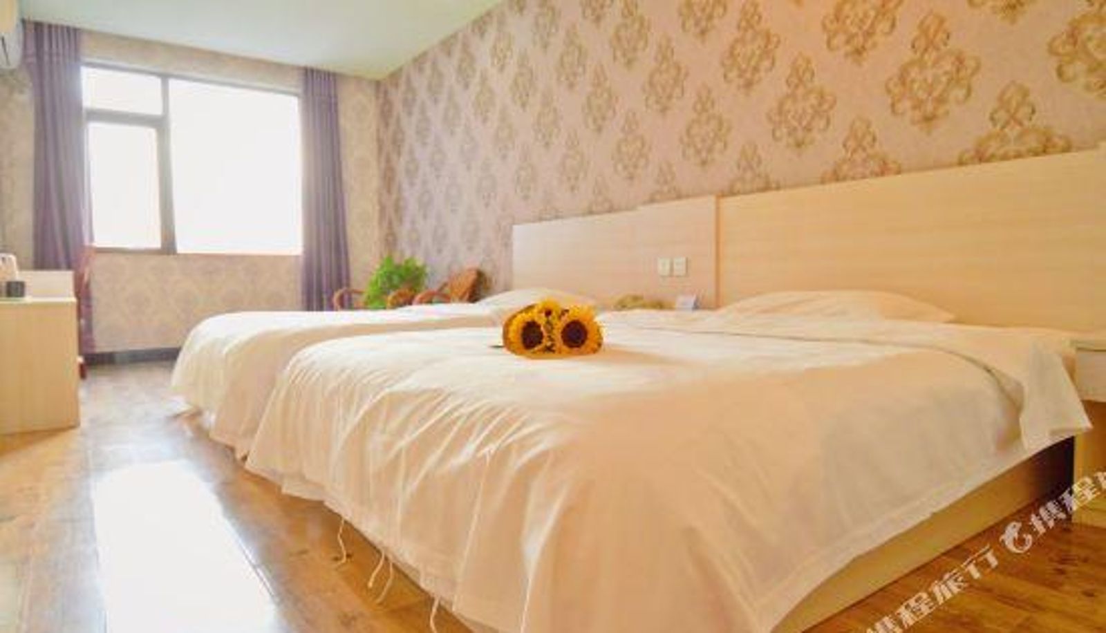 Camera business - AT YOUNG HOTEL (Beijing Shahe Subway Station Beihang University)