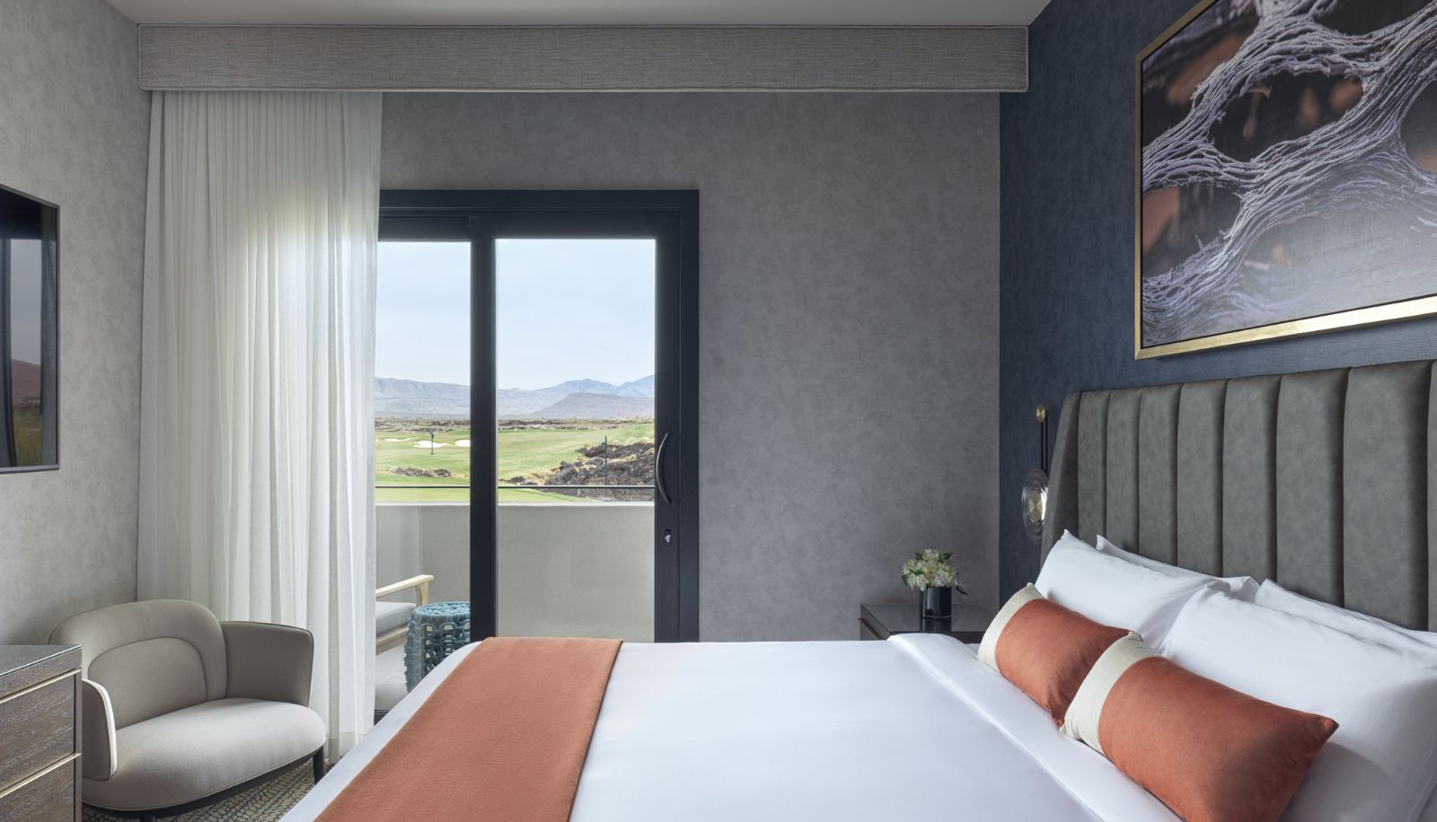 Camera - Black Desert Resort