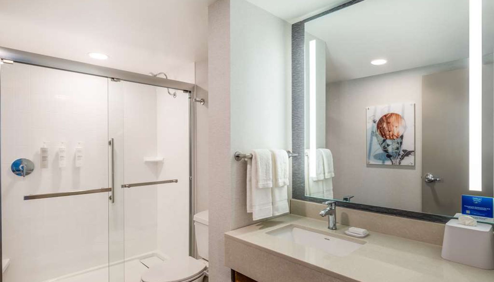 Zimmer - Homewood Suites by Hilton Toledo Downtown
